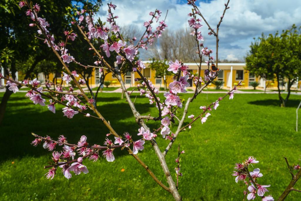 Resort & Winery Bosco De Medici Pompeja Zewnętrze zdjęcie